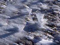 Eisige Windfahnen an Grashalmen im Gegenlicht